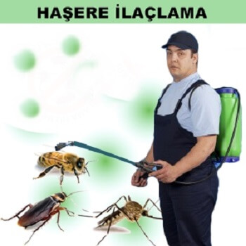 Sultanbeyli Böcek İlaçlama
